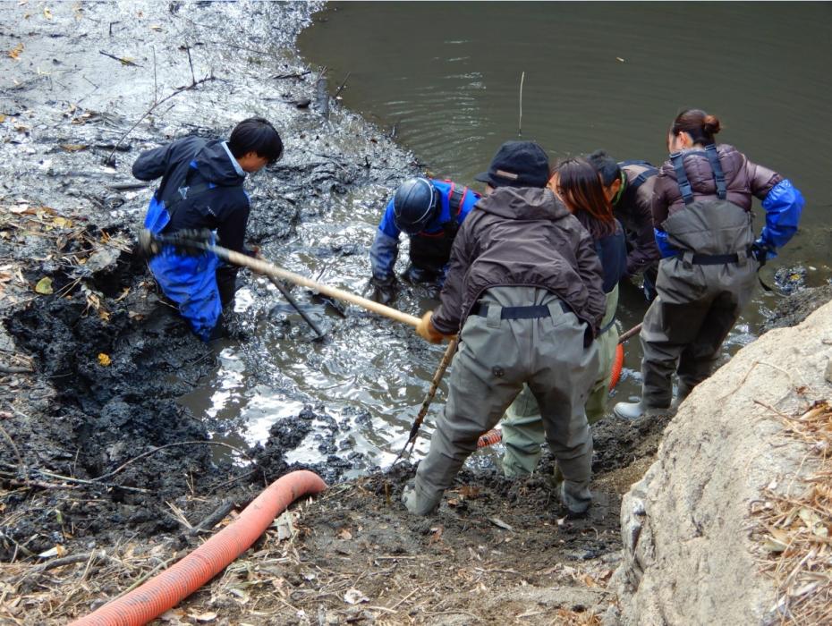 池の水で泥をほぐしています