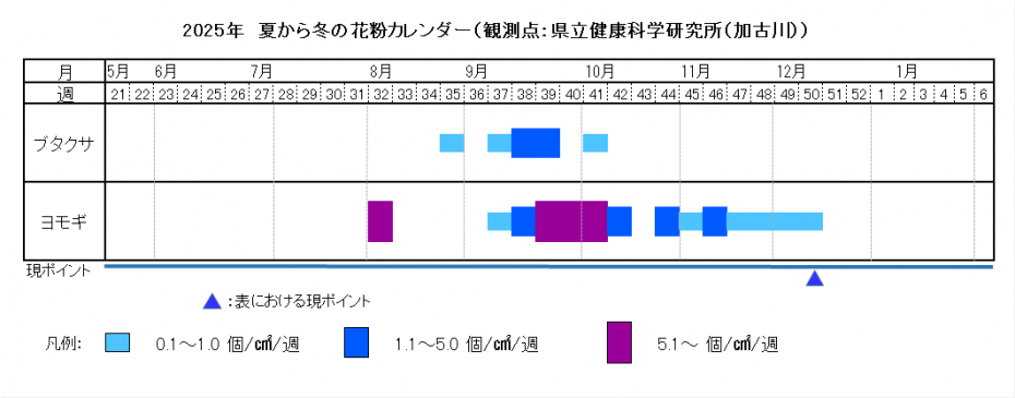 2025夏から冬カレンダー