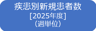 2025年度