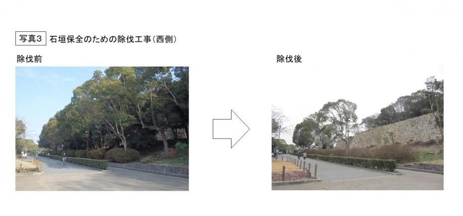 写真3石垣保全のための除伐工事（西側）
