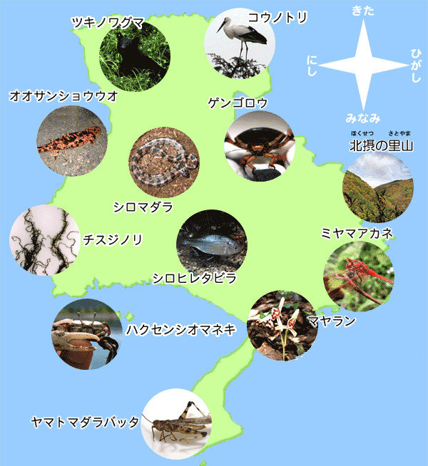 絶滅の危機にひんしている動植物（どうしょくぶつ）の兵庫県地図