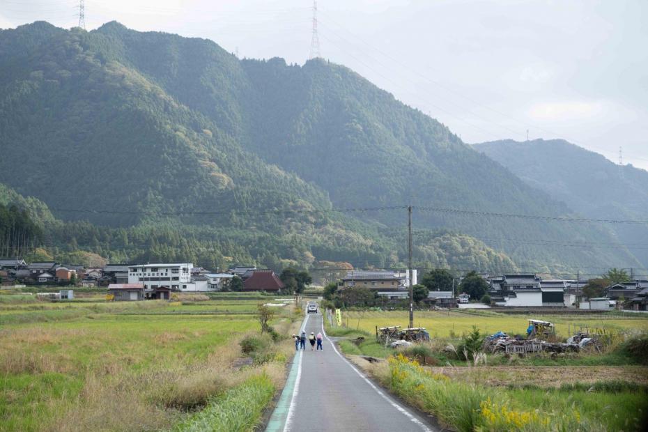 田んぼの中にある山へと続く一本道