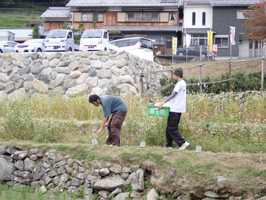 地域活動に参加する学生の写真