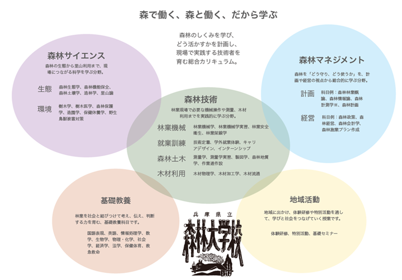 カリキュラムの体系図
