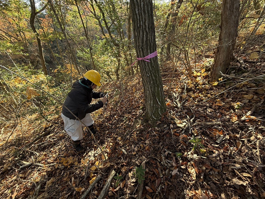 卒業研究のための現地調査等を行う県立三木山森林公園