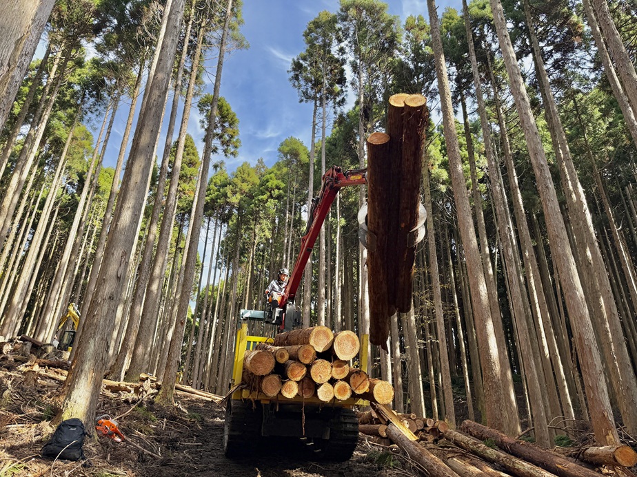峰山県有林内の演習林