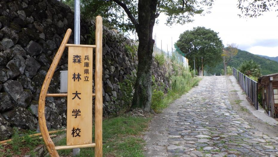 染河内駐在所脇の森林大学校の看板と石畳の坂道