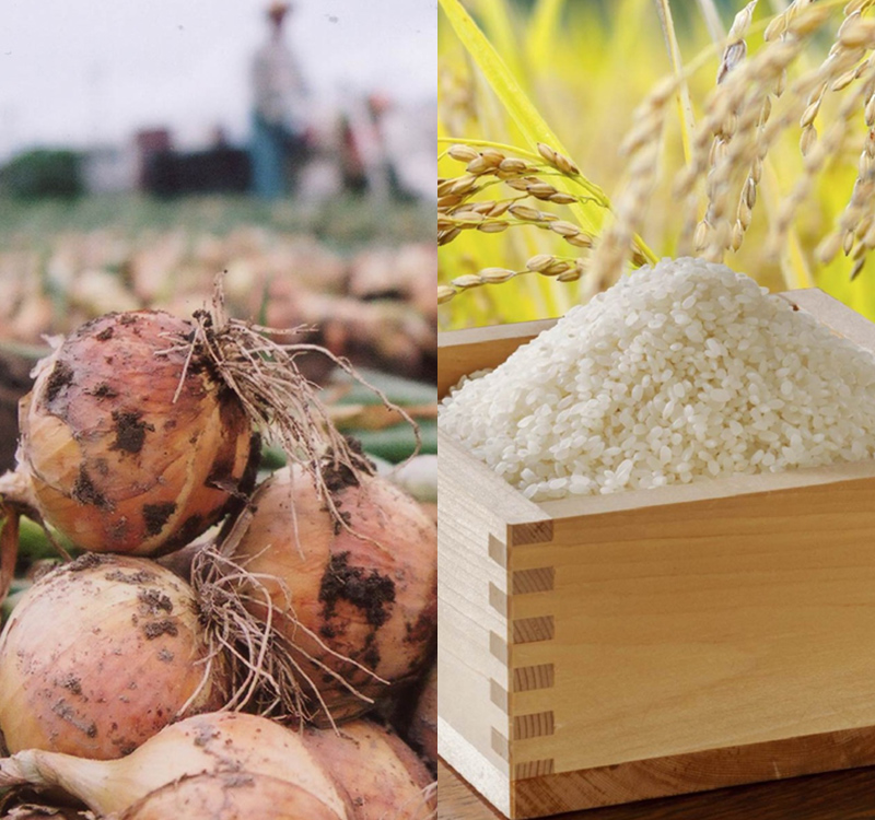 【里・アワイチ】淡路の玉ねぎ・米セット