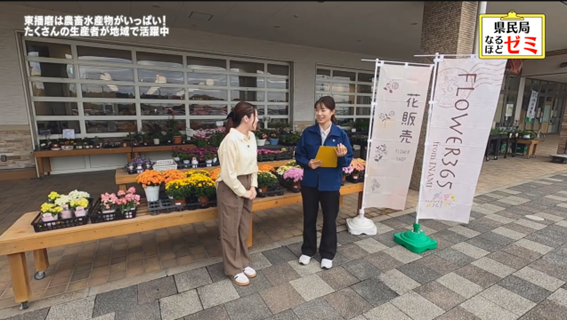 ひがタン!11月放送画面