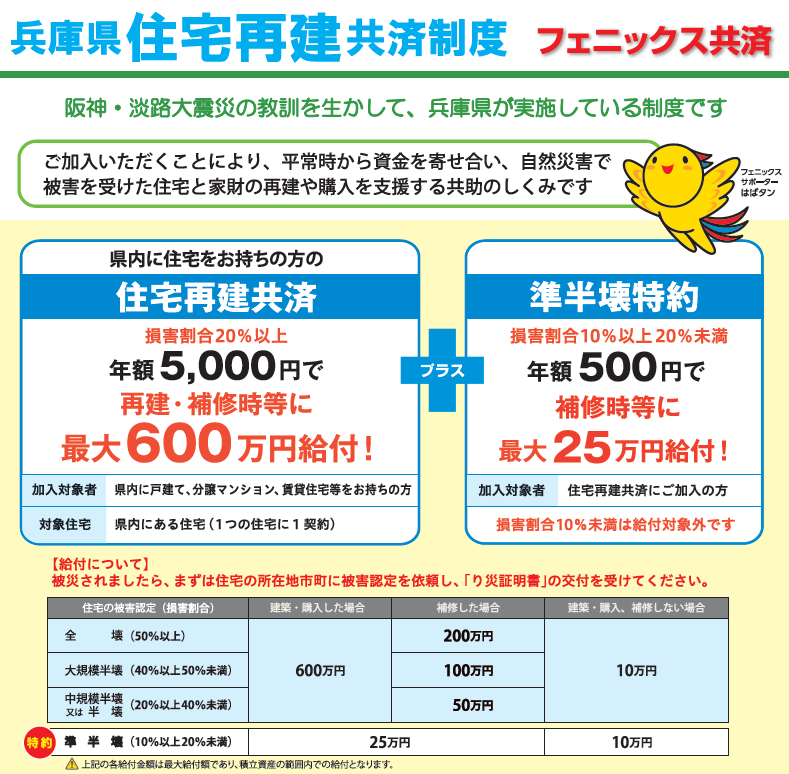 フェニックスチラシ