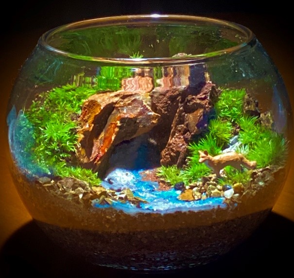 猪名川（苔リウム）