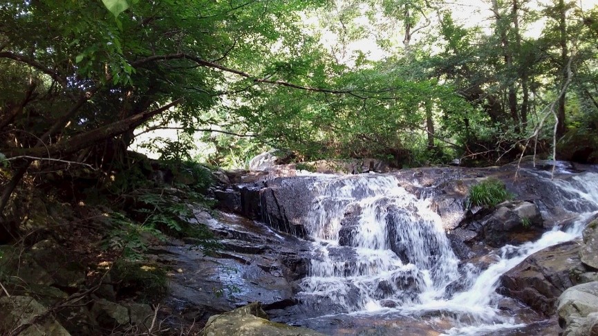 猪名川（大島）