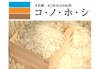 水稲新品種「コ・ノ・ホ・シ」