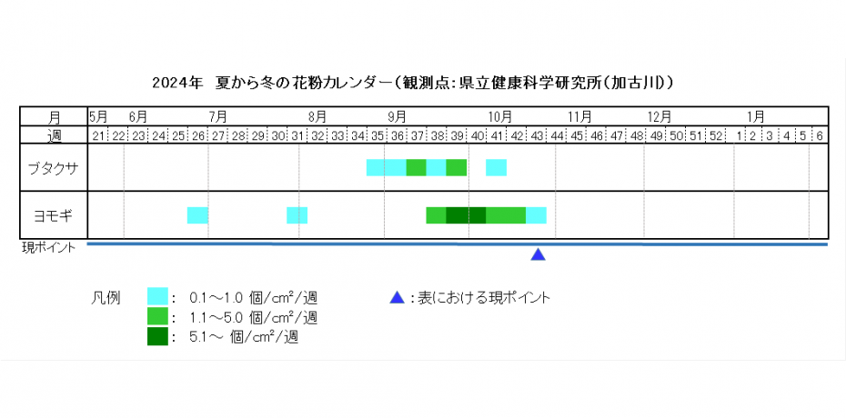 2024夏から冬カレンダー