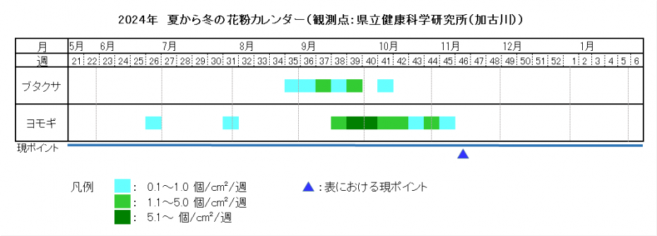 2024夏カレンダー