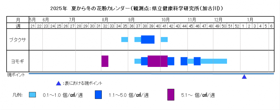 2025夏から冬カレンダー