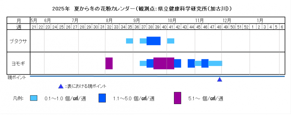 2025夏から冬カレンダー