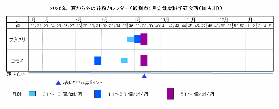 夏から冬の花粉カレンダー