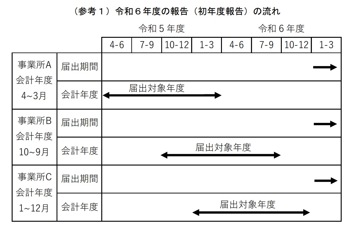 （参考1）令和6年度の報告（初年度報告）の流れ