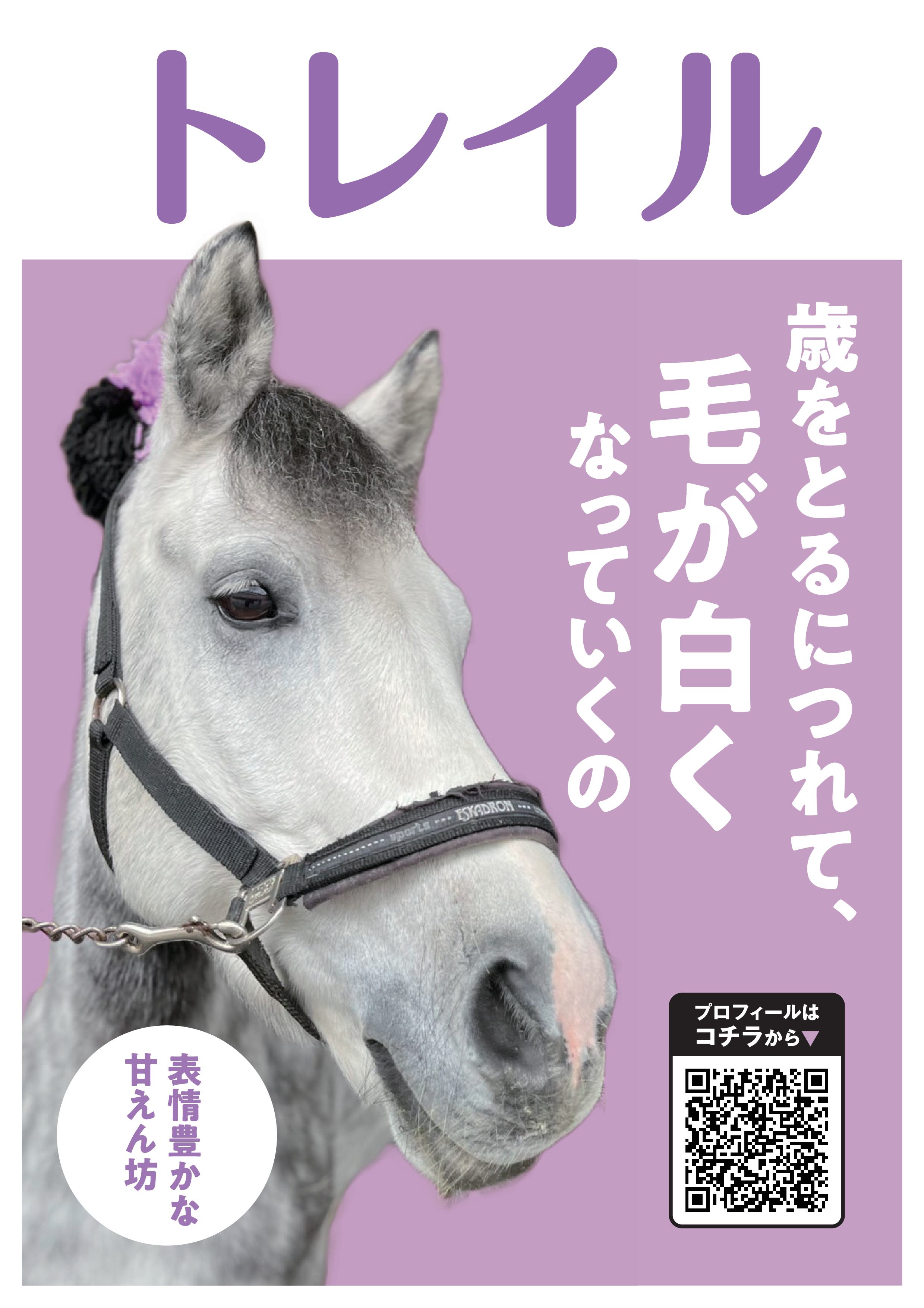 トレイル写真