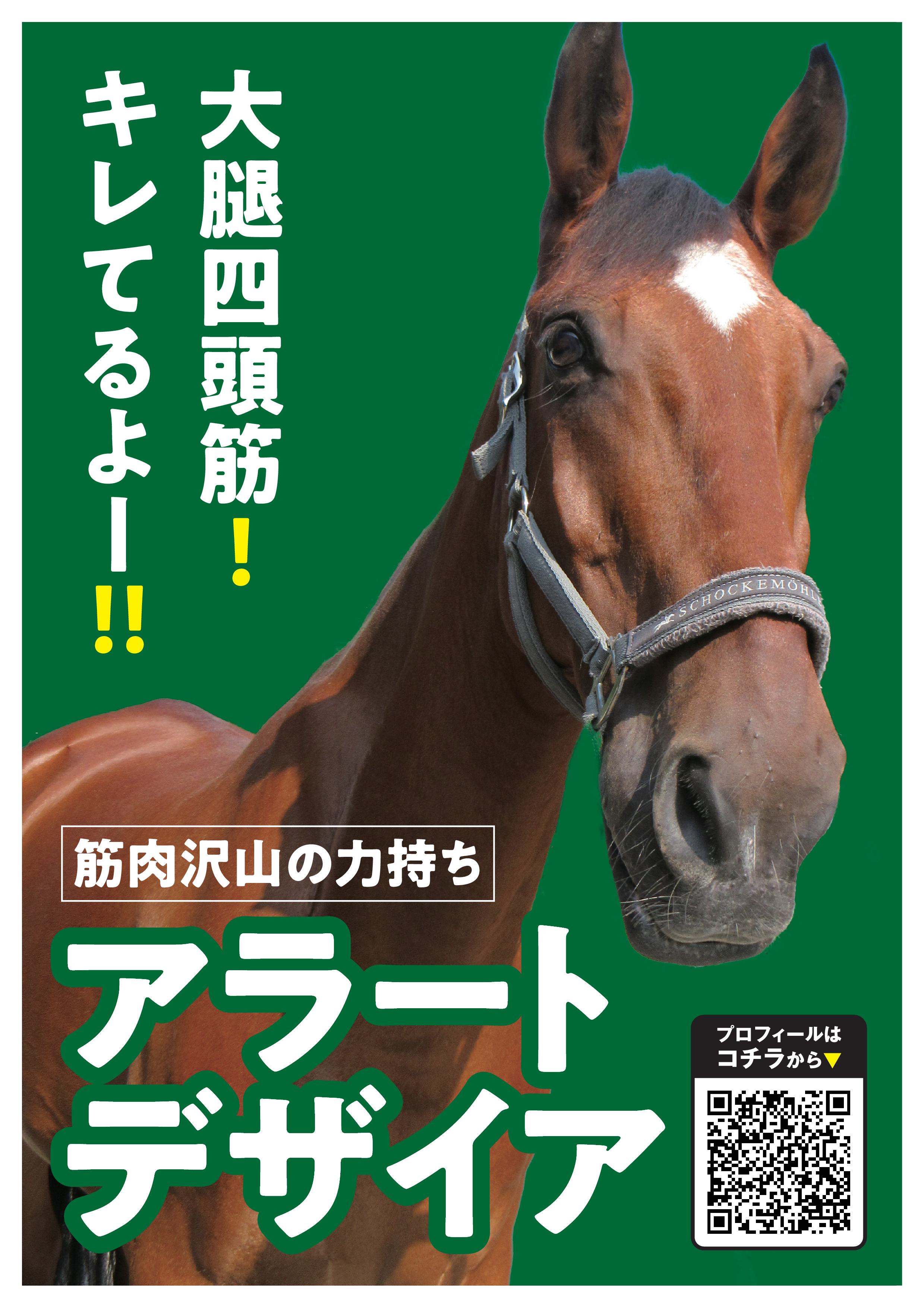 アラートデザイア写真