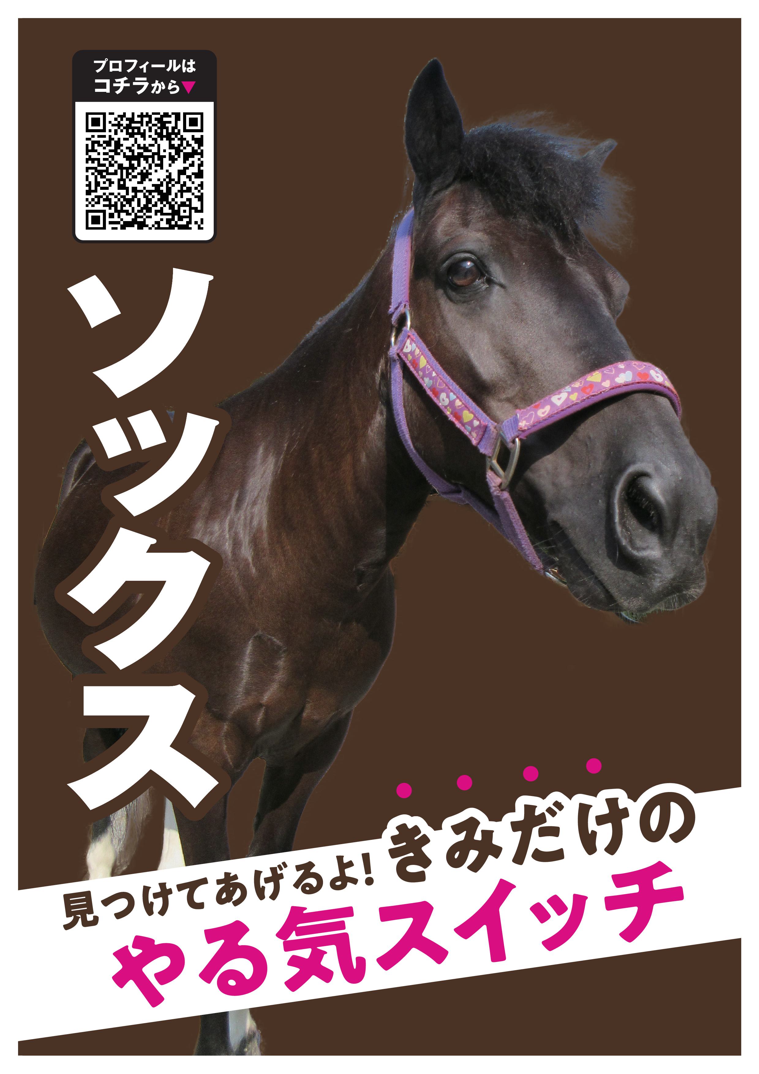 ソックス写真