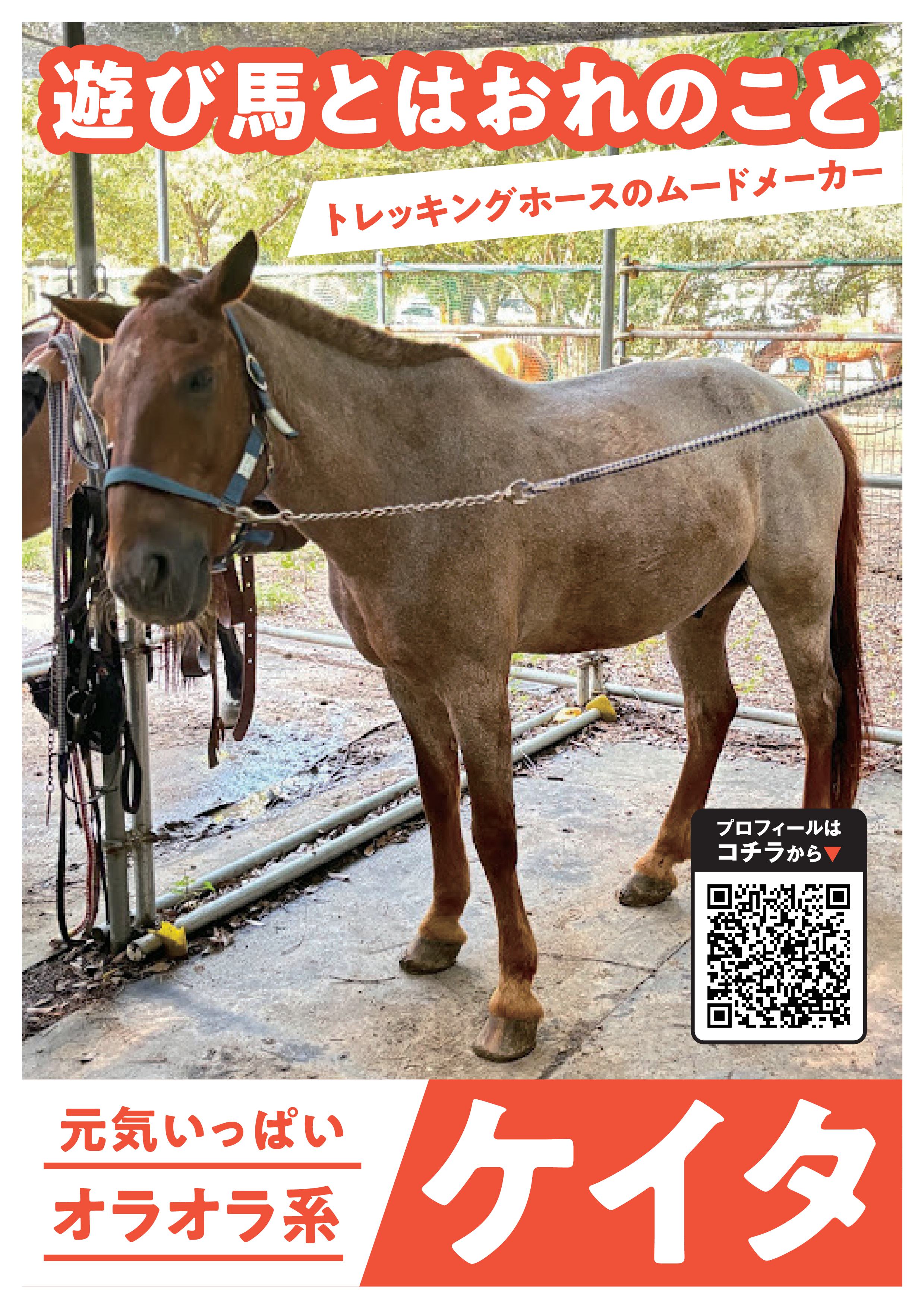 ケイタ写真