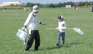 昆虫ハンティング調査隊