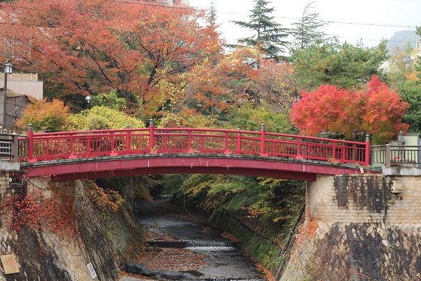ねね橋と紅葉