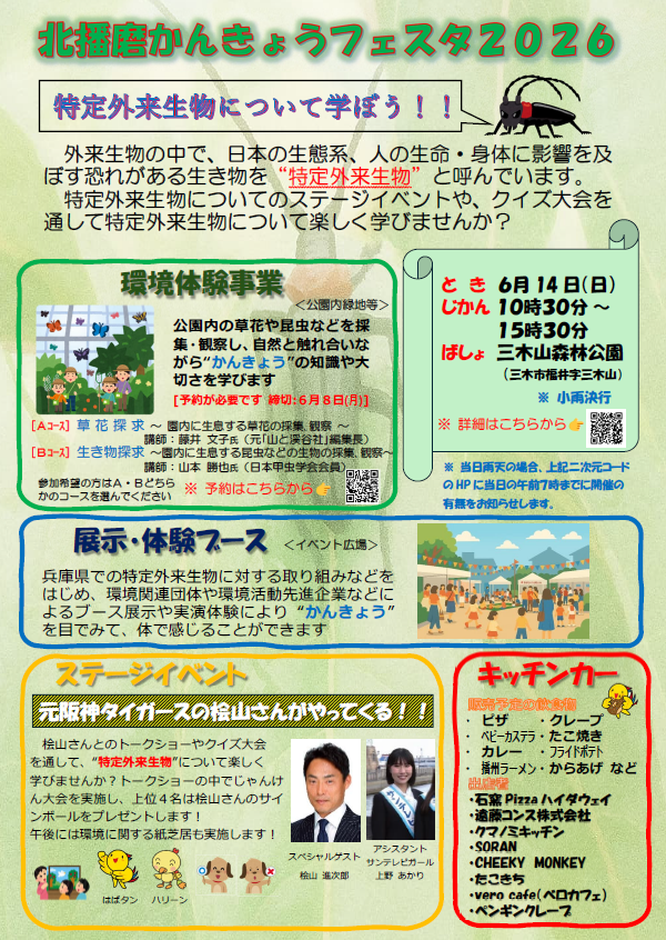 chirashiomotemenn