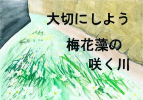 兵庫県北播磨県民局長賞（中学生）