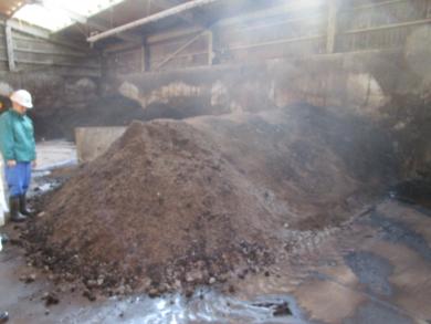 前処理後堆肥