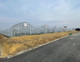 有機農業アカデミービニールハウス