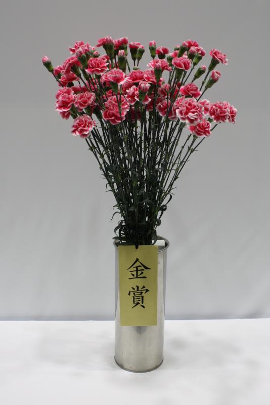 農林水産大臣賞写真