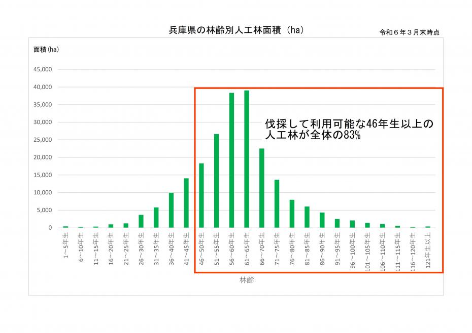 林齢別人工林面積
