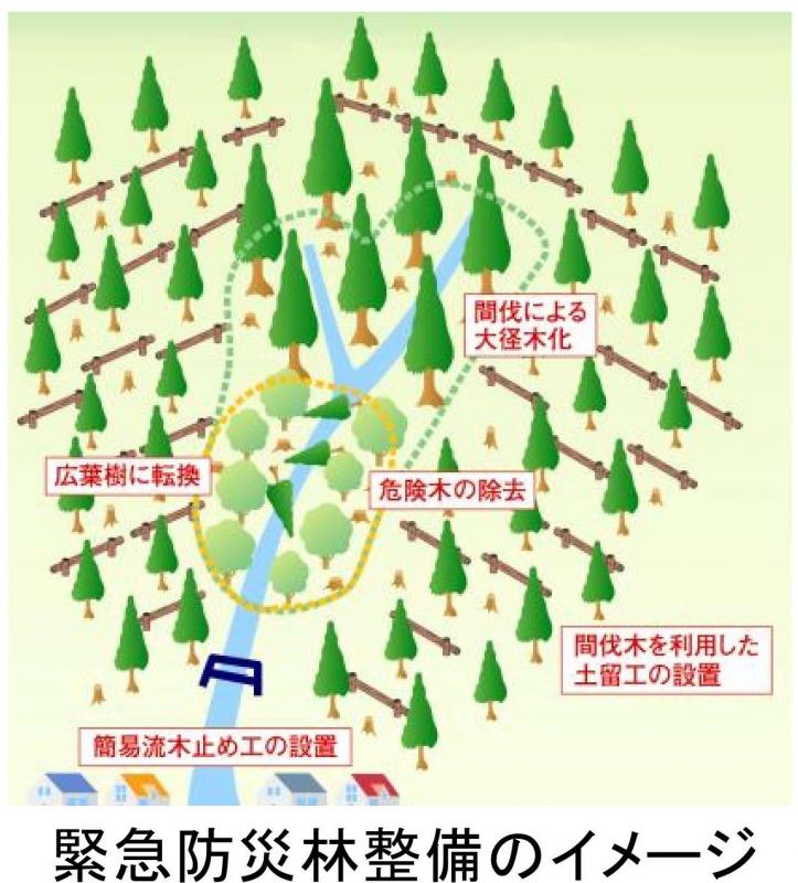 緊急防災林整備のイメージ