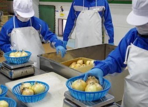 実践能力習得訓練コースの様子