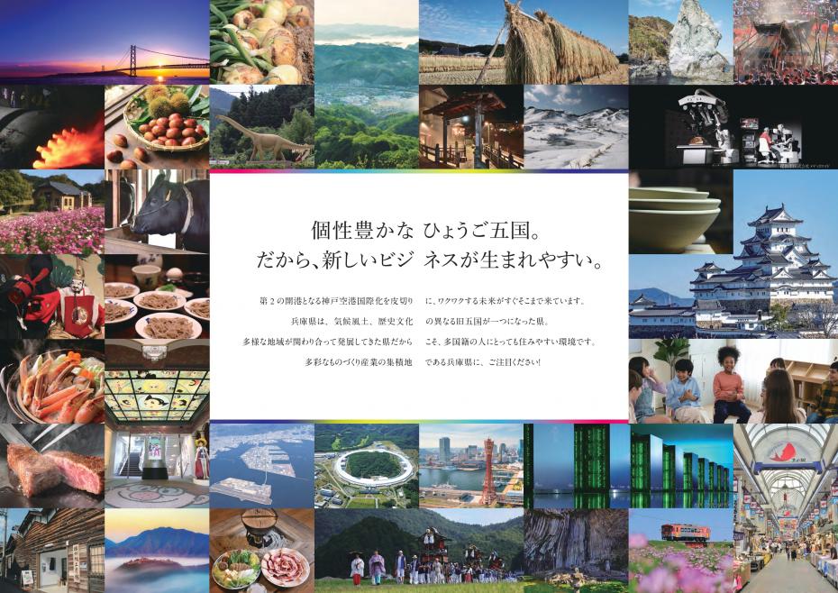 パンフレット画像