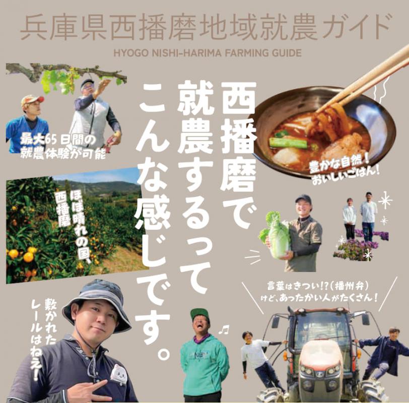 ガイドリーフレット